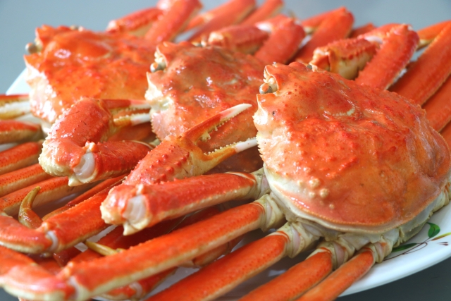 「大ズワイガニ 本ズワイガニ どちらが旨い？違いは何？」